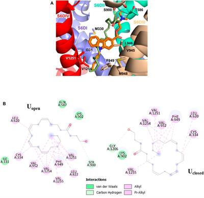 Conceptual DFT, QTAIM, and Molecular Docking Approaches to Characterize the T-Type Calcium Channel Blocker Anandamide